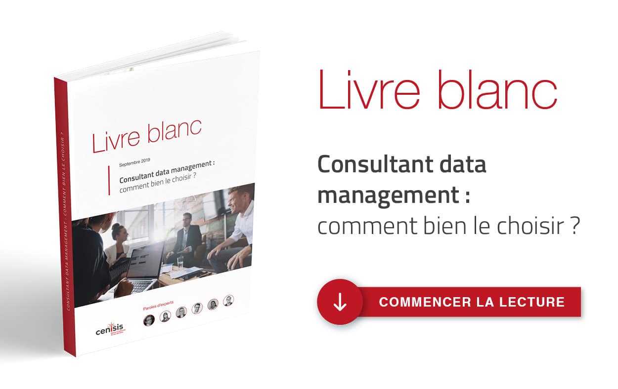 livre blanc consultant