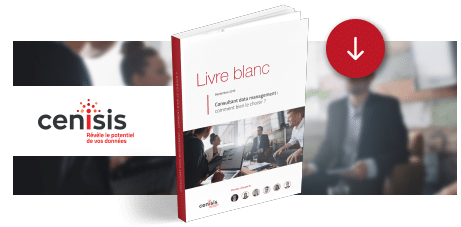 livre blanc consultant