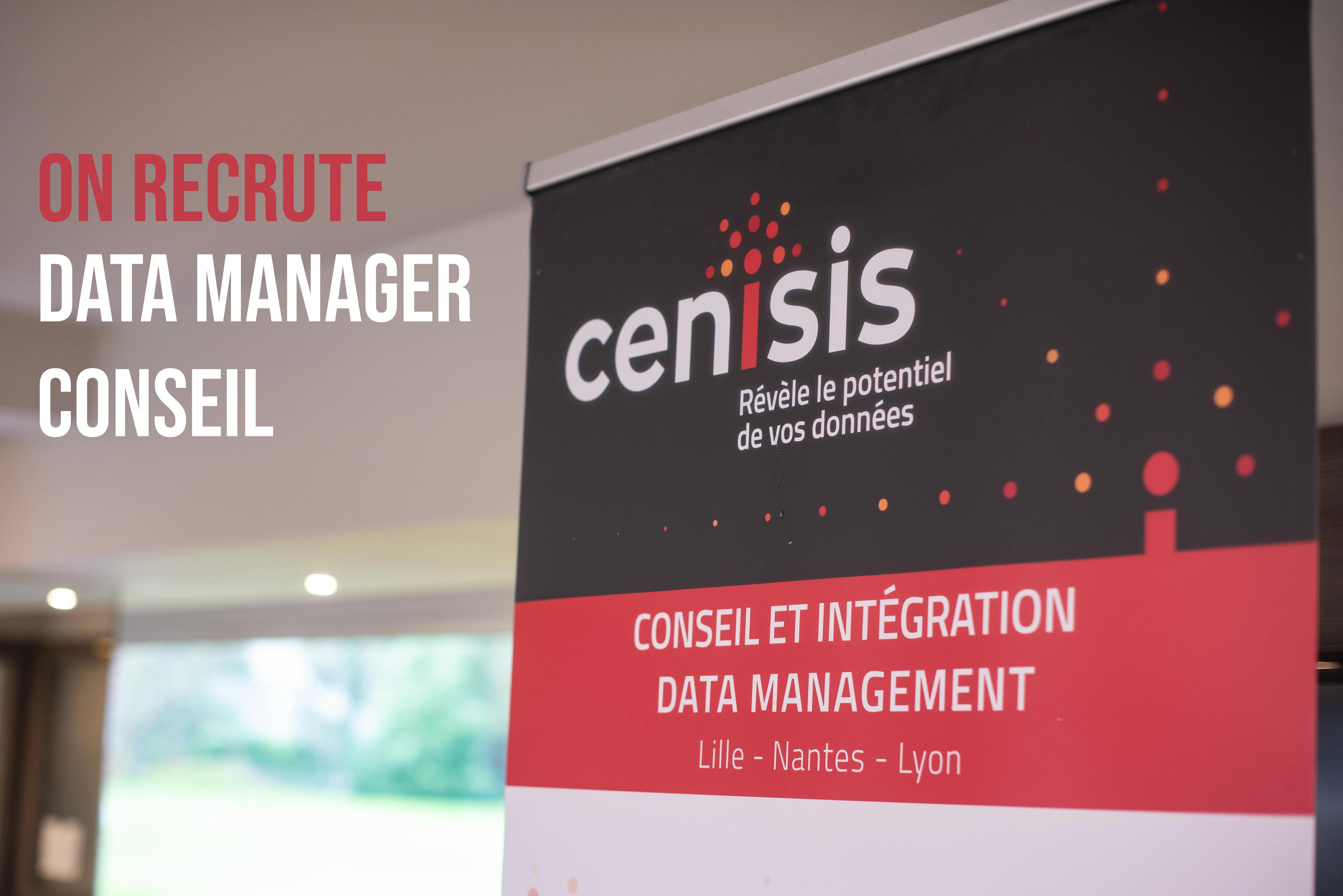 data manager conseil