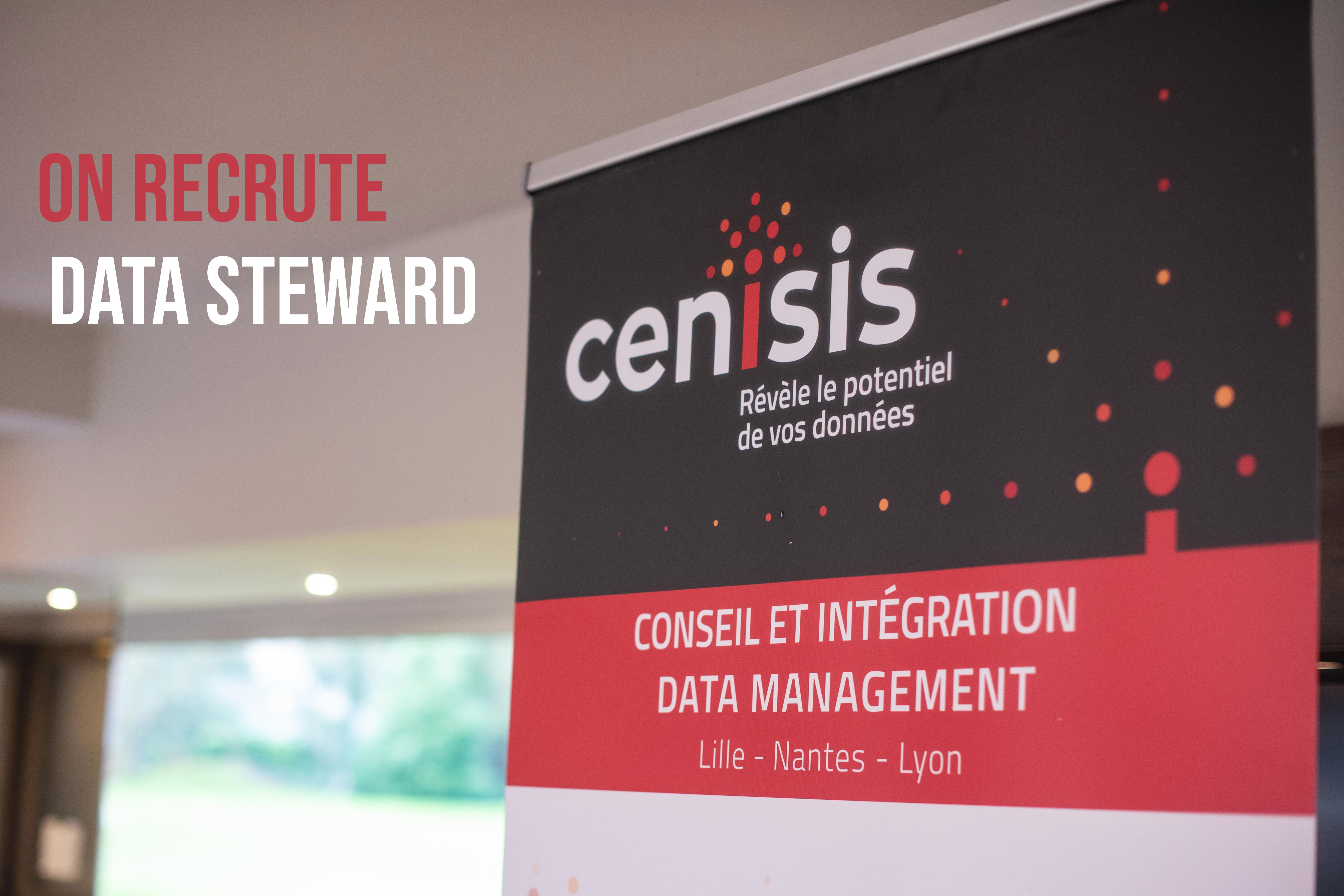data steward