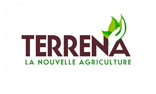 terrena